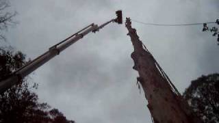 Cherry picker 60 Metre Bucket Truck serious big tree cutting and tree removal