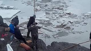 Рыбалка на Паук, со скалы,  Ранней весной в ледоход,  Река Амур