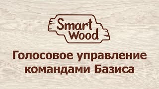 Голосовое управление Базис Мебельщиком и компьютером