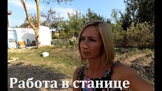 Кому в Гостагаевской жить хорошо. О работе