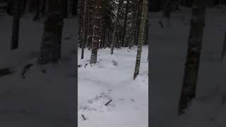 Словакия. Ясна. Низкие татры 2018