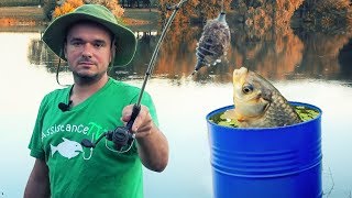 Карась самый живучий! РЫБАЛКА в БОЧКЕ на ПОПЛАВОК