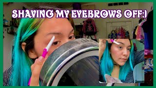 Shaving the ends of my eyebrows off