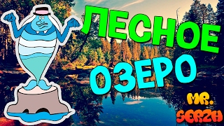 Прогулка по лесу Красивое лесное озеро | Деревня Губино