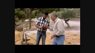 The Nazareth Jesus Knew- The Wheat & Tares, Teaching