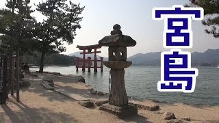 宮島！厳島神社 大鳥居までの食べ歩きも楽しいね【広島県】