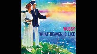 Wussy - Cake [What Heaven Is Like] (Damnably/Shake It records 2018)