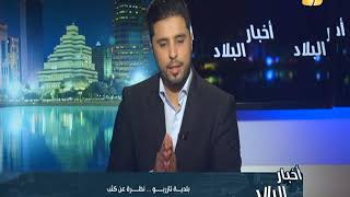تازربو .. الحرائق تلتهم النخيل
