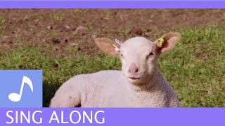 Air Bud TV: Animal Sing Alongs - Little Bo Peep