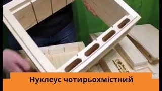 Нуклеус чотирьохмістний на половину 145 рамки