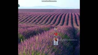 Решение проблемы не заходит gta Криминальная Россия