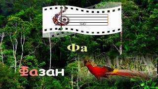 Ноты и животные
