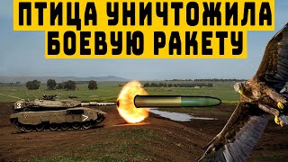 Птица сбила летящую к танку ракету TOW видео