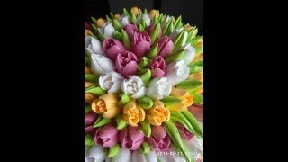 Торт с тюльпанами на Юбилей .... Cake with tulips on Anniversary