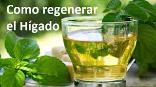 Como cuidar y regenerar el hígado.