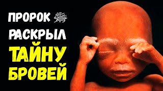 Пророк ﷺ раскрыл тайну бровей