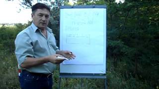 О бинарных опционах из логова диких пчел