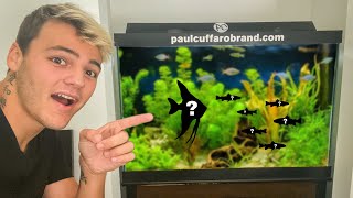 BUYING 18 MYSTERY FISH for My AQUARIUM!!