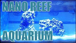 Starting a Nano Reef Saltwater Aquarium