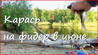 Ловля карася на фидер летом. Рыбалка на Волге в июне.