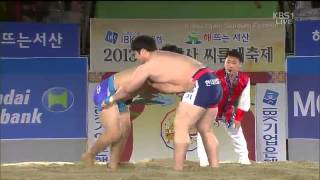 2013 천하장사 씨름대회 (KBS1방영 2013.11.17)