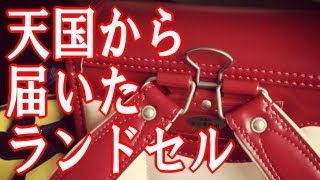 【郵便局】 天国から届いたランドセル - 泣ける話