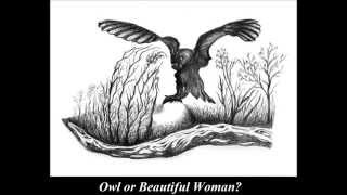 Master of deception. Ambiguous Illusions. WHAT DO YOU SEE?