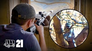 THE STAKEOUT (Monkey, Baboon & Squirrel Hunting) | The Oxwagon Diaries, pt. 21