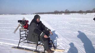Шурик Лапин