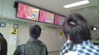 千葉運転免許センター　原付・小型特殊自動車　学科試験合格発表