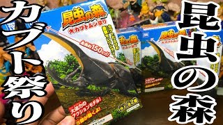 今年もこの季節が来た！昆虫の森 大カブトムシ祭り 食玩開封レビュー