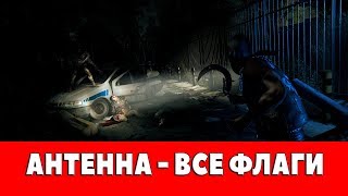 DYING LIGHT - АНТЕННА - ВСЕ ФЛАГИ