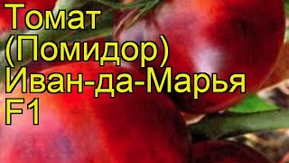Томат обыкновенный Иван-да-Марья. Краткий обзор, описание характеристик, где купить семена