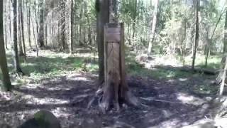 ГРАМОТНЫЙ СОЛОНЕЦ ДЛЯ ЛОСЯ