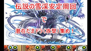 伝説の雪渓　シヴァドラパ　安定周回