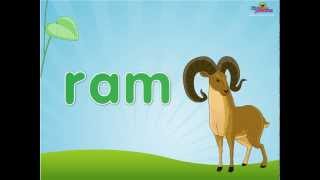 Word family 'am' phonics lesson - Learn to read