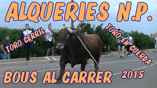 BOUS AL CARRER - ALQUERIES DEL NIÑO PERDIDO (C) - TORO EN CUERDA Y CERRIL 5-10-2015 - 1080 FULL HD