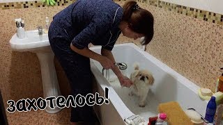 ВЛОГ: Заболела / Ездила в онкологию / Покупки / Готовлю ужин