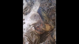 ВСУ снимают трофеи с трупов!