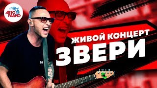 ?️ Живой концерт группы "Звери" на Авторадио (2019)