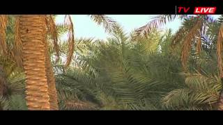 السابقون الأولون _ قصص صحابة رسول الله محمد صلى الله عليه 04 HD