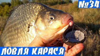 Крупные караси на Пробку. Рыбалка на карася Осенью.