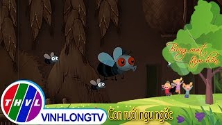 THVL | Bóng mát tâm hồn: Con ruồi ngu ngốc