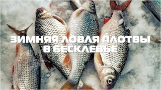 Зимняя ловля плотвы в бесклевье  | Технология зимнего клева