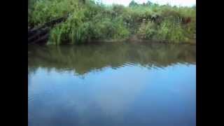 Лещ на микроджиг