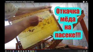???ЗАВЕРШАЮЩАЯ ОТКАЧКА МЁДА 2019 ГОДА