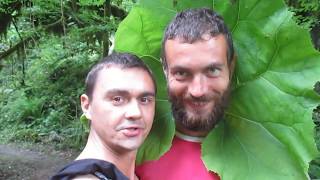 Поход на Ацинский водопад Абхазия. Река Аапста. Природа Абхазии.