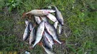 Разведали водоём! Под Бирском.
