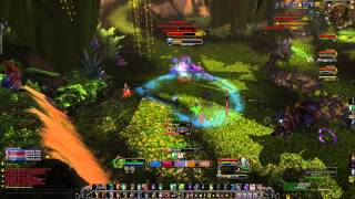 Heroic Everbloom Dungeon Guide