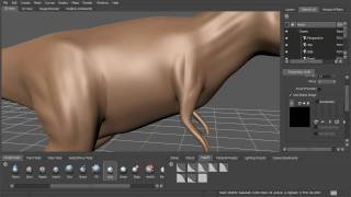 Sculpting Basics Tutorial